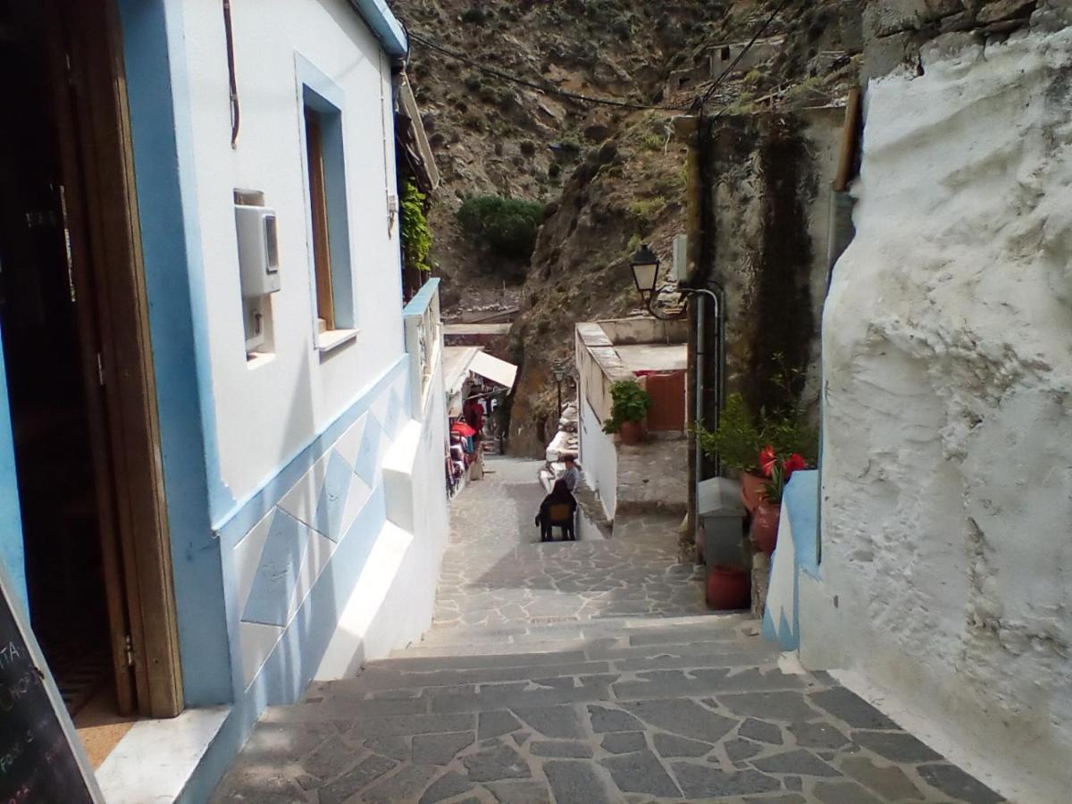 Olympos Apt With Amazing Mountain View المظهر الخارجي الصورة